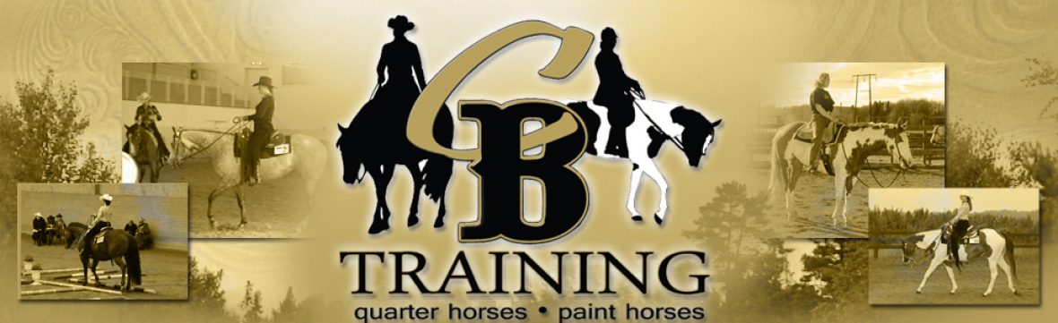 cropped-cbtop980x300