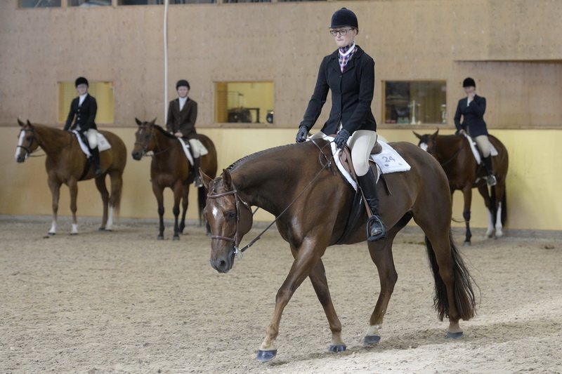 Nsba National Snaffle Bit Association Scandinavia