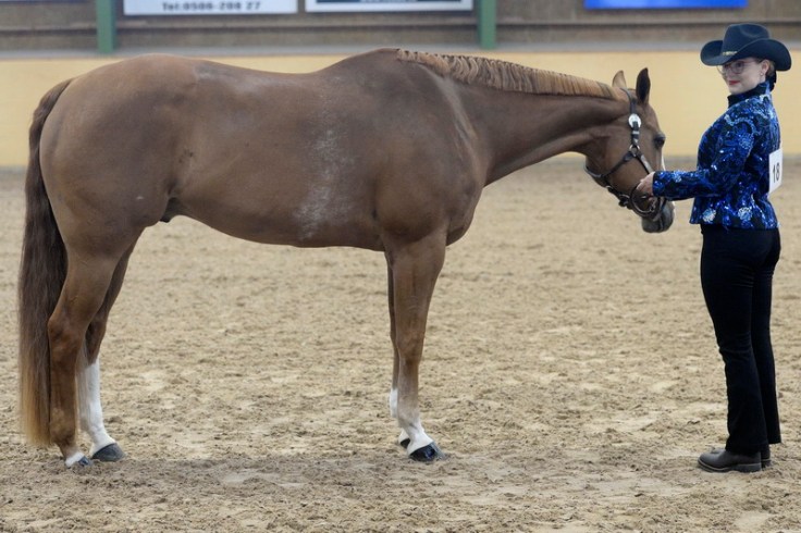 NSBA Fredag 070619 0031